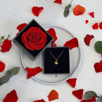 preserved rose